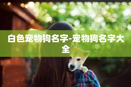 白色寵物狗名字-寵物狗名字大全