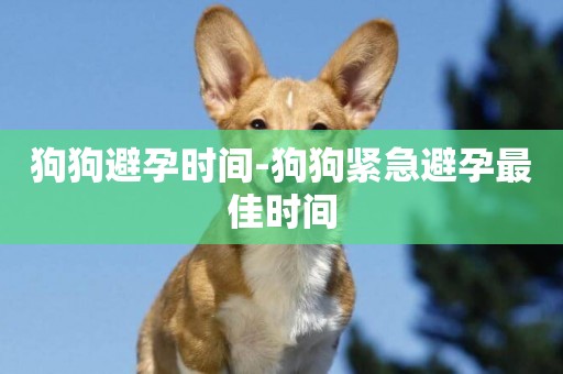 狗狗避孕時間-狗狗緊急避孕最佳時間