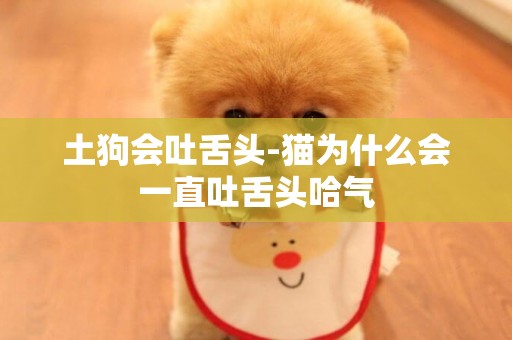 土狗會吐舌頭-貓為什么會一直吐舌頭哈氣
