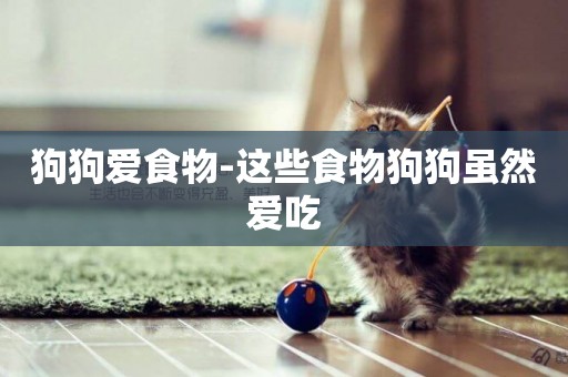 狗狗愛食物-這些食物狗狗雖然愛吃