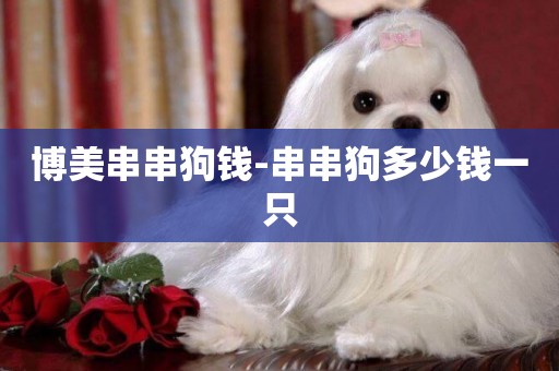 博美串串狗錢-串串狗多少錢一只