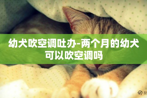 幼犬吹空調吐辦-兩個月的幼犬可以吹空調嗎