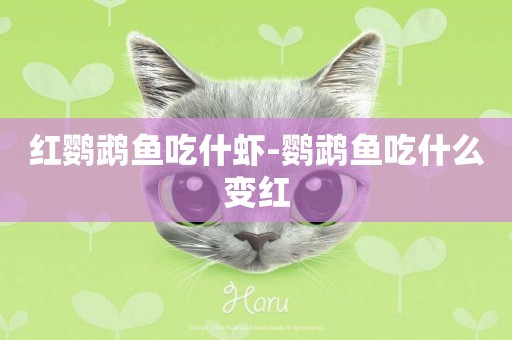 紅鸚鵡魚吃什蝦-鸚鵡魚吃什么變紅