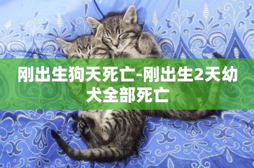 剛出生狗天死亡-剛出生2天幼犬全部死亡