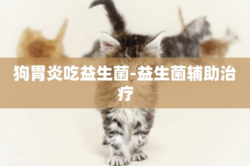 狗胃炎吃益生菌-益生菌輔助治療