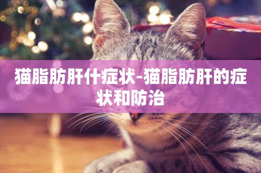 貓脂肪肝什癥狀-貓脂肪肝的癥狀和防治