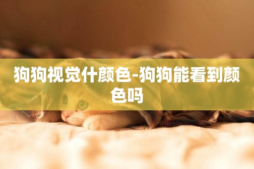 狗狗視覺什顏色-狗狗能看到顏色嗎