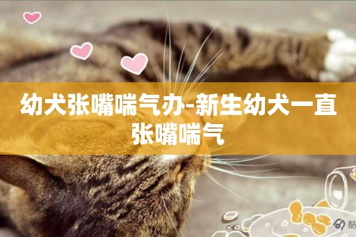 幼犬張嘴喘氣辦-新生幼犬一直張嘴喘氣