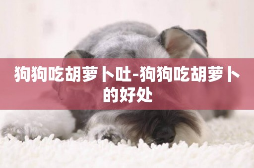 狗狗吃胡蘿卜吐-狗狗吃胡蘿卜的好處
