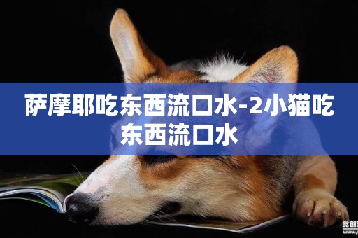 薩摩耶吃東西流口水-2小貓吃東西流口水