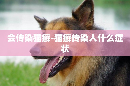 會傳染貓癬-貓癬傳染人什么癥狀
