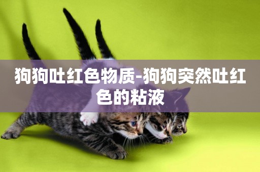 狗狗吐紅色物質-狗狗突然吐紅色的粘液