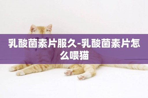 乳酸菌素片服久-乳酸菌素片怎么喂貓