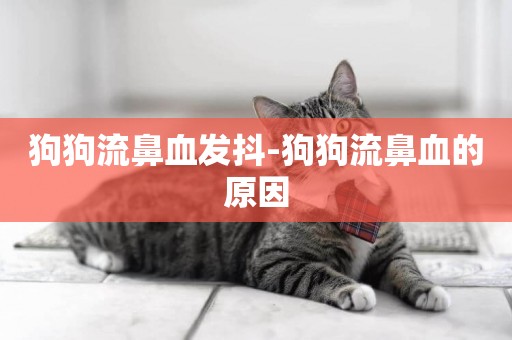 狗狗流鼻血發抖-狗狗流鼻血的原因