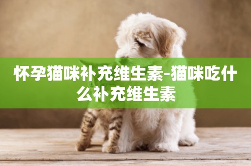 懷孕貓咪補充維生素-貓咪吃什么補充維生素