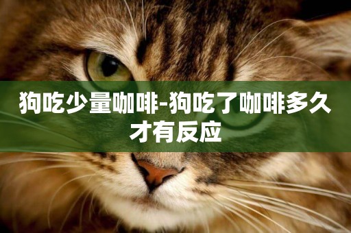 狗吃少量咖啡-狗吃了咖啡多久才有反應