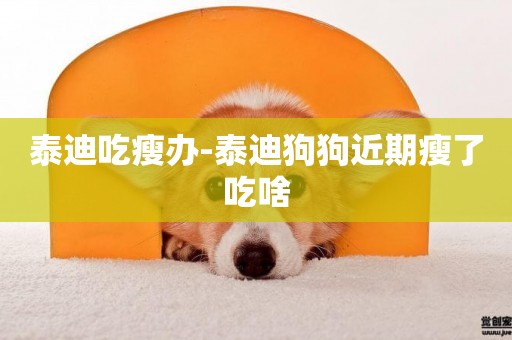 泰迪吃瘦辦-泰迪狗狗近期瘦了吃啥
