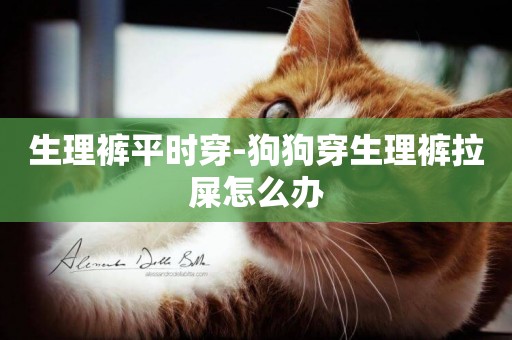 生理褲平時穿-狗狗穿生理褲拉屎怎么辦