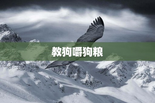 教狗嚼狗糧