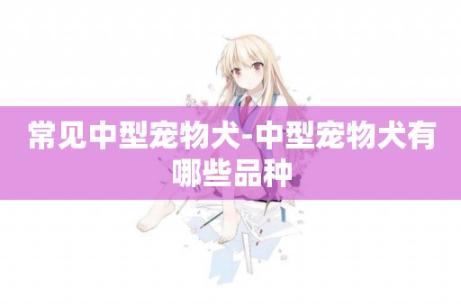 常見中型寵物犬-中型寵物犬有哪些品種