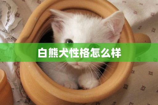 白熊犬性格怎么樣
