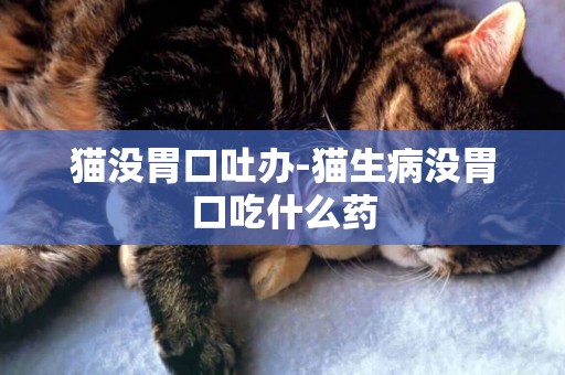 貓沒胃口吐辦-貓生病沒胃口吃什么藥