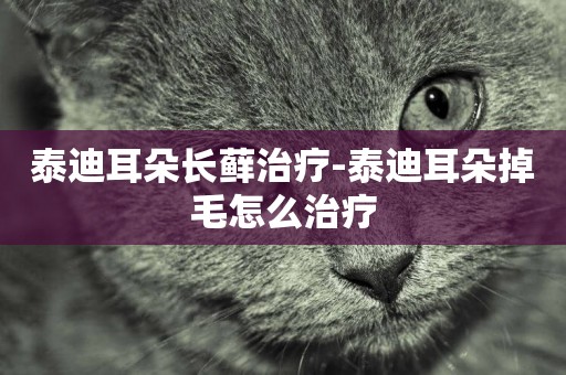 泰迪耳朵長蘚治療-泰迪耳朵掉毛怎么治療