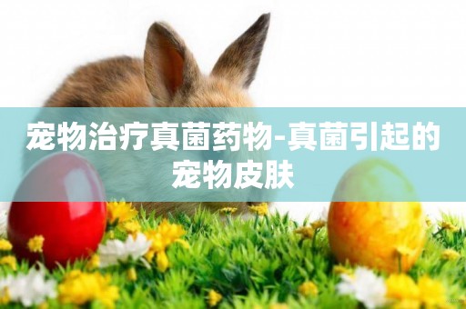 寵物治療真菌藥物-真菌引起的寵物皮膚
