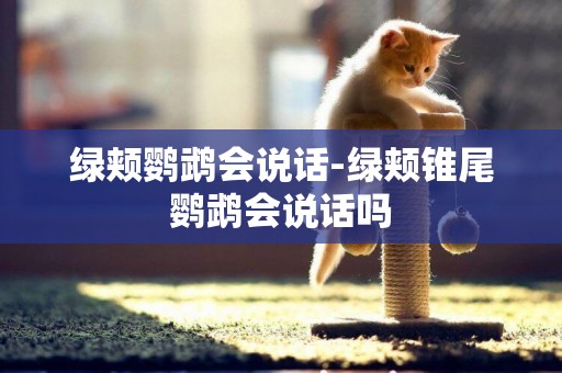 綠頰鸚鵡會說話-綠頰錐尾鸚鵡會說話嗎