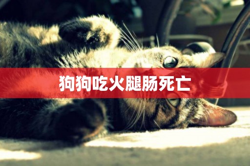 狗狗吃火腿腸死亡