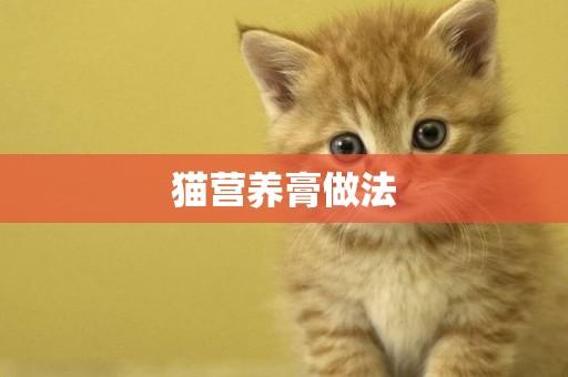 貓營養膏做法