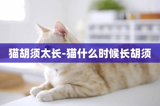 貓胡須太長-貓什么時候長胡須