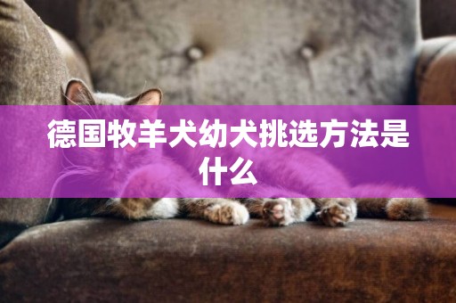德國牧羊犬幼犬挑選方法是什么