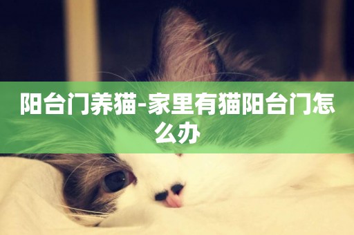 陽臺門養貓-家里有貓陽臺門怎么辦
