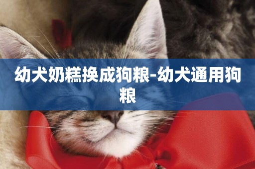 幼犬奶糕換成狗糧-幼犬通用狗糧