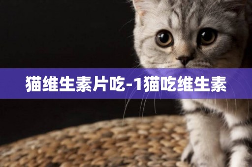 貓維生素片吃-1貓吃維生素