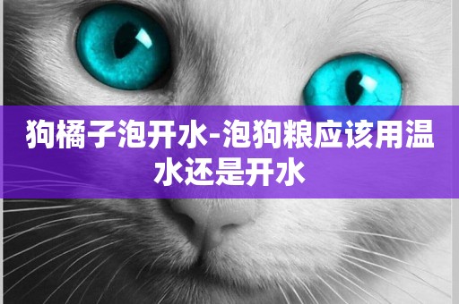 狗橘子泡開水-泡狗糧應該用溫水還是開水