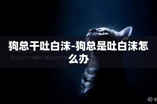 狗總干吐白沫-狗總是吐白沫怎么辦