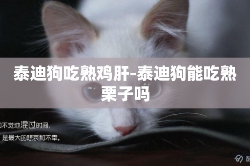 泰迪狗吃熟雞肝-泰迪狗能吃熟栗子嗎