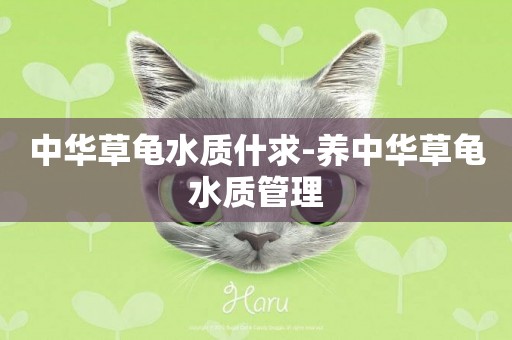 中華草龜水質什求-養中華草龜水質管理