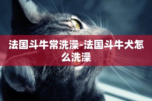 法國斗牛常洗澡-法國斗牛犬怎么洗澡