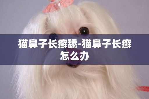 貓鼻子長癬舔-貓鼻子長癬怎么辦