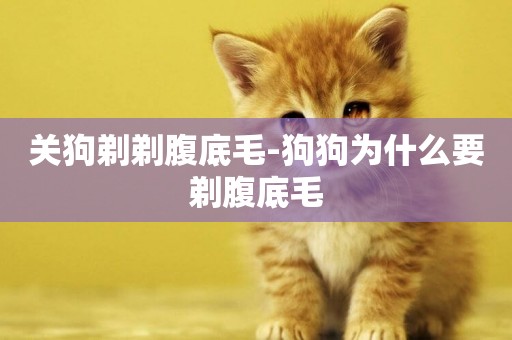 關狗剃剃腹底毛-狗狗為什么要剃腹底毛