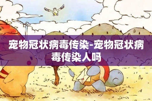 寵物冠狀病毒傳染-寵物冠狀病毒傳染人嗎