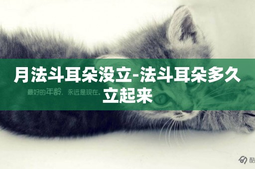 月法斗耳朵沒立-法斗耳朵多久立起來