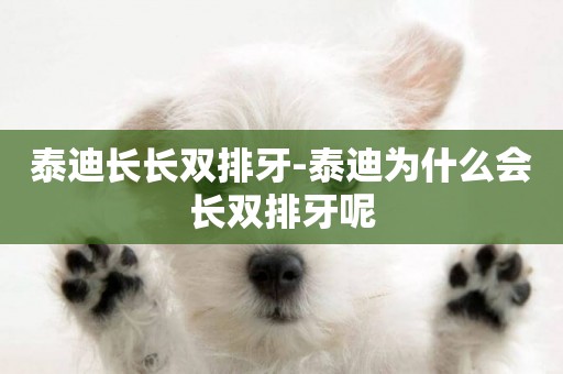 泰迪長長雙排牙-泰迪為什么會長雙排牙呢