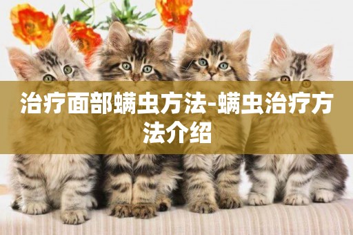治療面部螨蟲方法-螨蟲治療方法介紹
