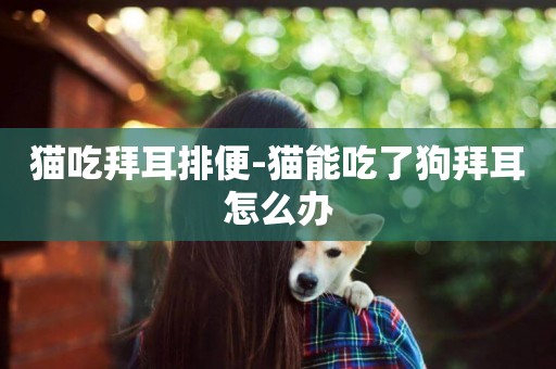 貓吃拜耳排便-貓能吃了狗拜耳怎么辦