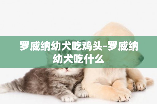 羅威納幼犬吃雞頭-羅威納幼犬吃什么