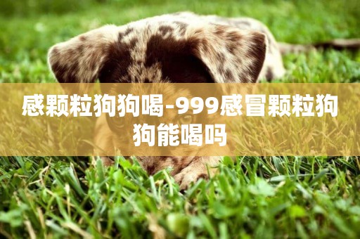 感顆粒狗狗喝-999感冒顆粒狗狗能喝嗎